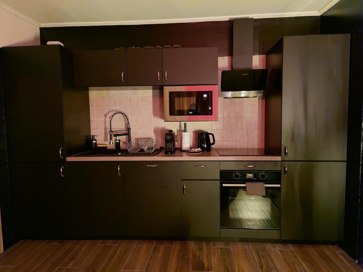 La Loveroom Bdsm De Nice " La Chambre Luxe Des Desirs " Eksteriør billede